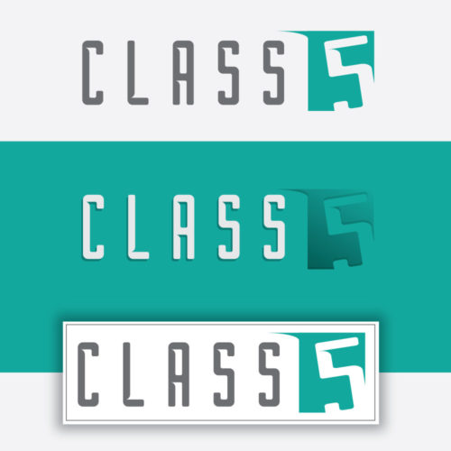 class-5-borg-font